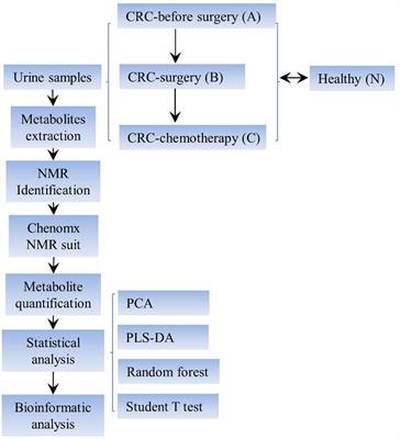 Metabolomic Comparison of Patients With Colorectal Cancer at Different Anticancer Treatment Stages